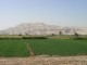 Bild 94